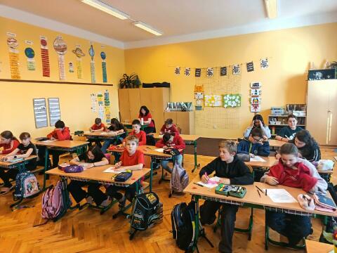 Obrázek v galerii