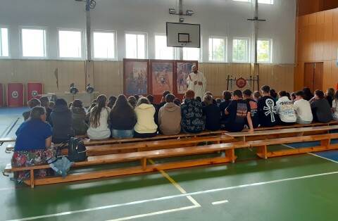 Obrázek v galerii