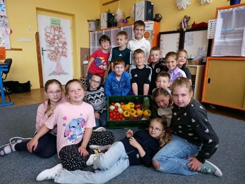 Obrázek v galerii