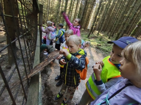 Obrázek v galerii