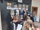 Obrázek v galerii