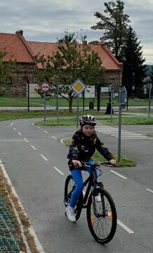 Obrázek v galerii