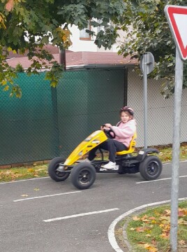 Obrázek v galerii