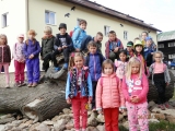 Obrázek v galerii