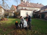 Obrázek v galerii